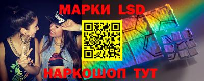 шишки Будённовск